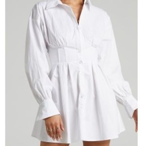 Showpo Mini Corset Dress